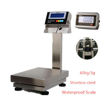 Platform scale BWS-3040 60kg/5g 304 Stainless Steel Industry Weighing bench scale IP67 AC 220V with waterproof indicator display